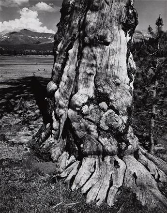 ANSEL ADAMS (1902-1984) Portfolio Four: What Majestic Word, In Memory of Russell Varian. 1963.